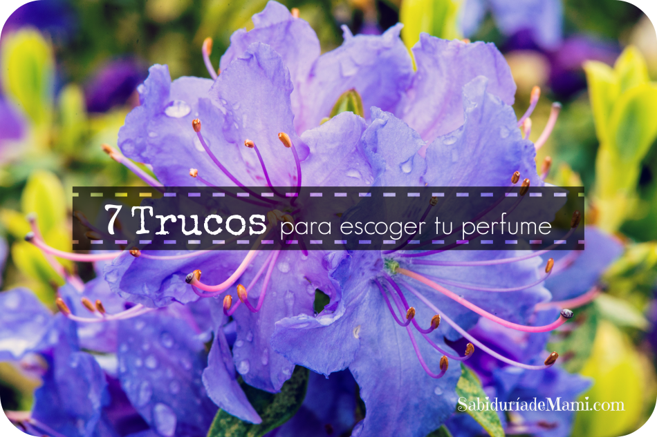 7 trucos para escoger tu perfume