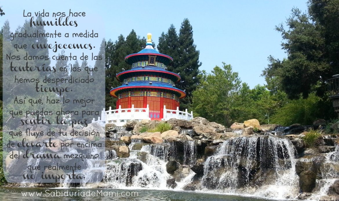 Lunes de Sabiduría – La vida nos hace