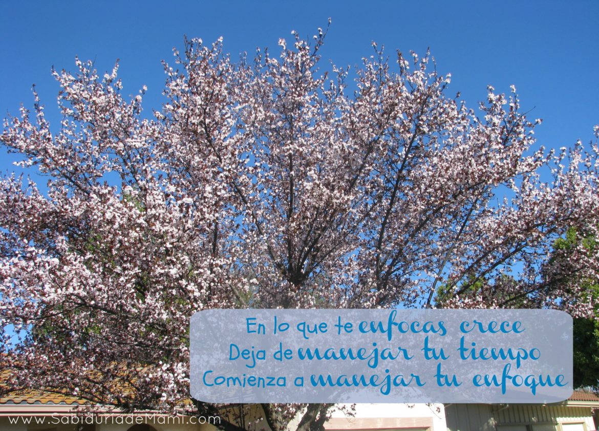 Lunes de Sabiduría – En lo que te enfocas